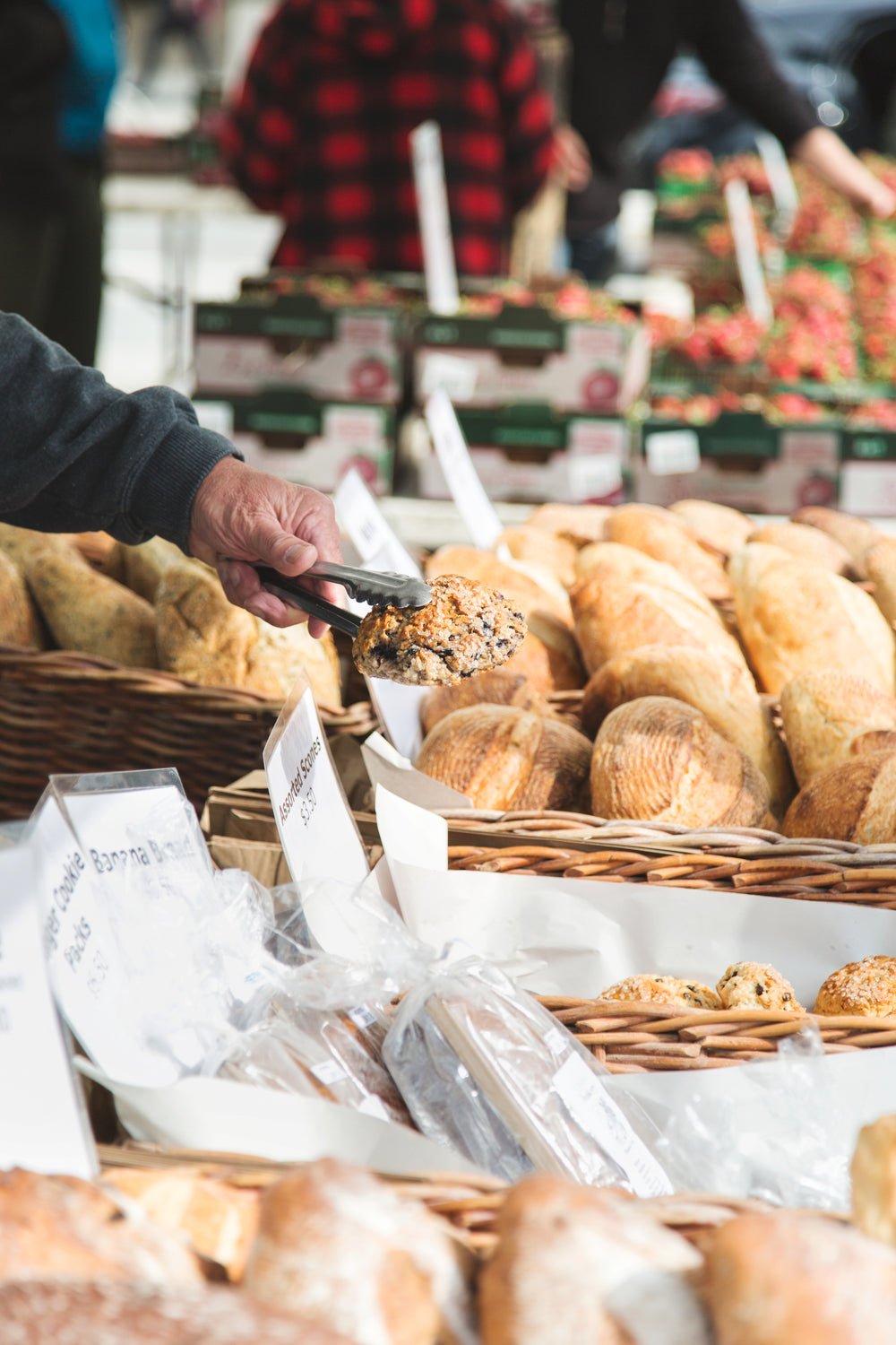 Italian Bakery Classics